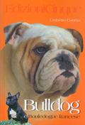 libro bulldog