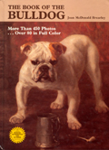 THE BOOK OF THE BULLDOG