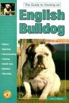 GUIDE TO OWNING AN ENGLISH BULLDOG