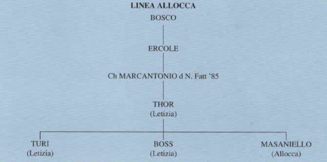 linea allocca