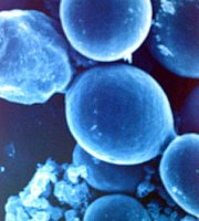 attivit dell'acqua AW