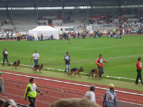 Braunschweig 2007