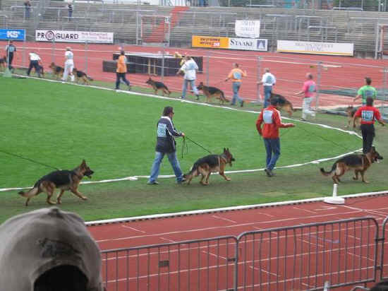 Braunschweig 2007