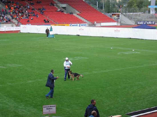 Braunschweig 2007