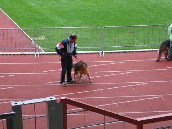 Braunschweig 2007