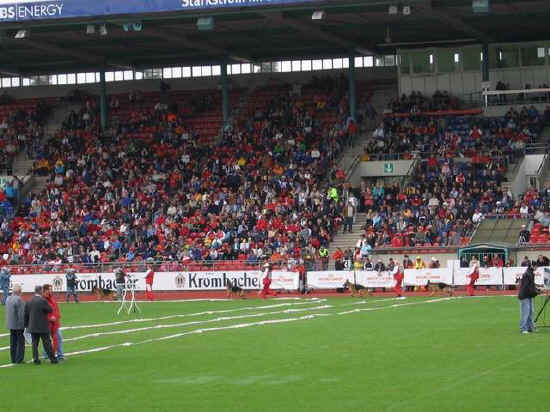 Braunschweig 2007