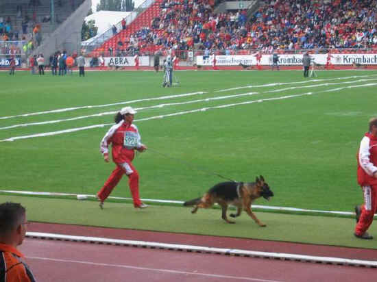 Braunschweig 2007