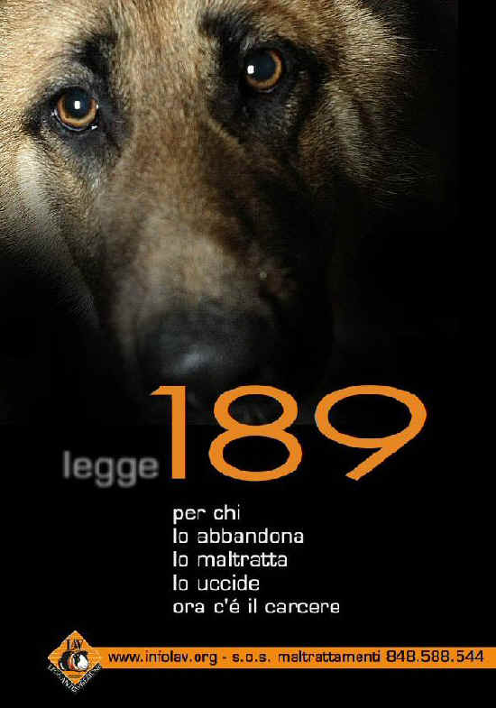 legge 189