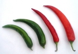 peperoncino