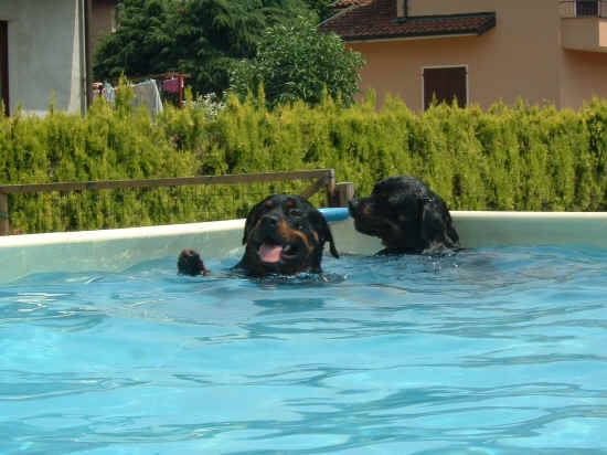 piscina