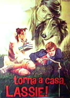 torna a casa lassie