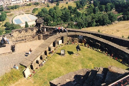 cimitero dei cani