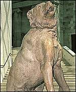 cane di Alcibiades