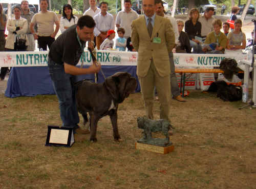 trofeo mario querci 2003