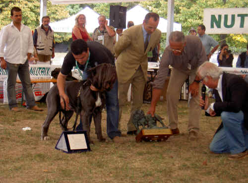 trofeo mario querci 2003