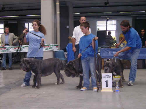Gruppo di allevamento di Fossombrone - Trofeo Mario Querci 2006
