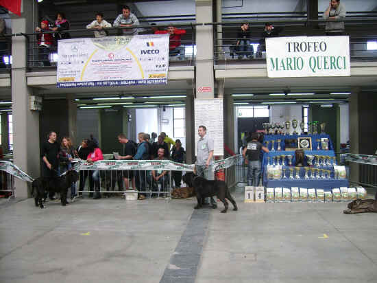 raduno razze italiane Pistoia 2007