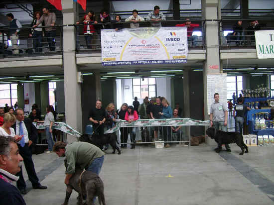 raduno razze italiane Pistoia 2007