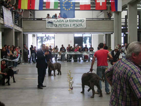 Trofeo Mario Querci 2007