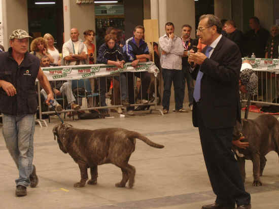 Trofeo Mario Querci 2007