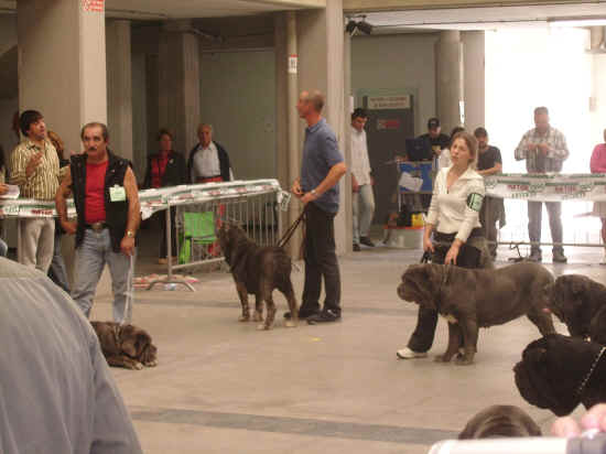 Trofeo Mario Querci 2007