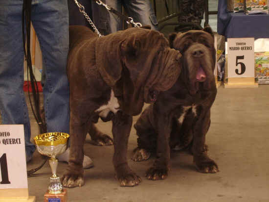 Trofeo Mario Querci 2007