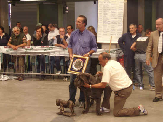 Trofeo Mario Querci 2007