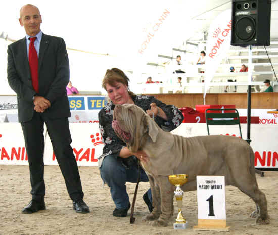 Trofeo Mario Querci 2012