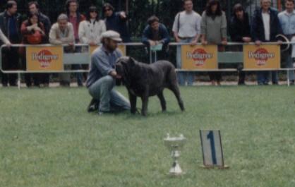 Trofeo Mario Querci 1993