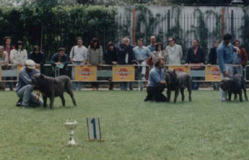 Trofeo Mario Querci 1993