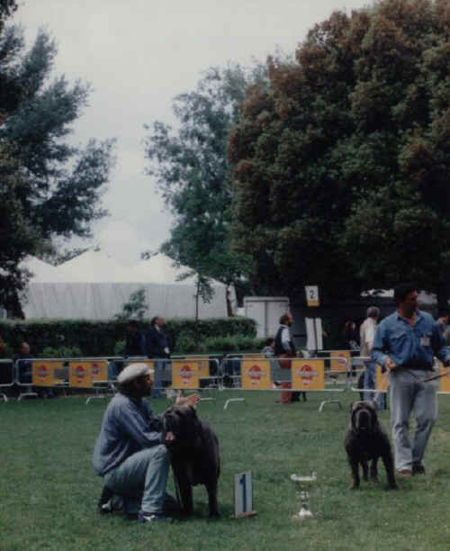 firenze - parco delle cascine