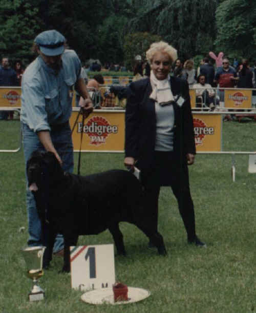 trofeo mario querci 1995