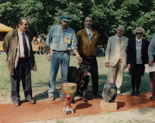 winner trofeo mario querci