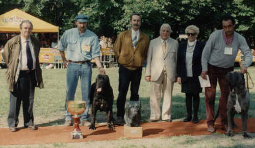 edizione firenze 1995