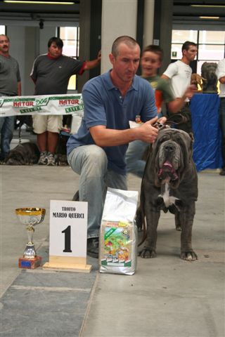 trofeo 2006