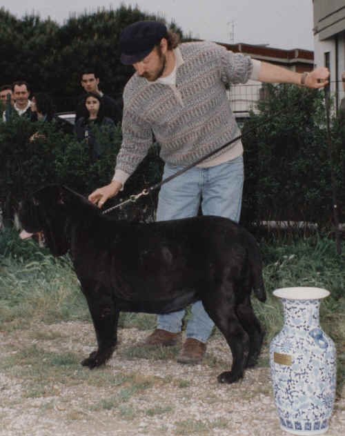 fucecchio 1995