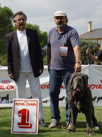 monografica 2004