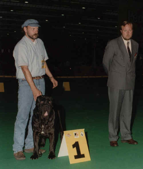 campionato del mondo 1995