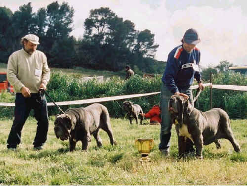 nationale d'elevage 2003