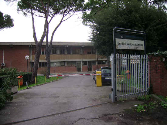 veterinaria di pisa