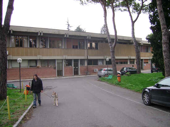 veterinaria di pisa