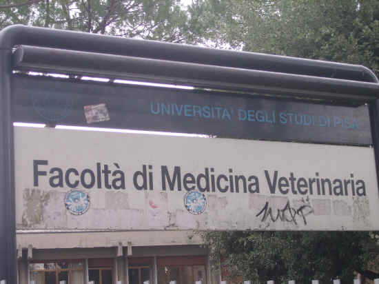 veterinaria di pisa