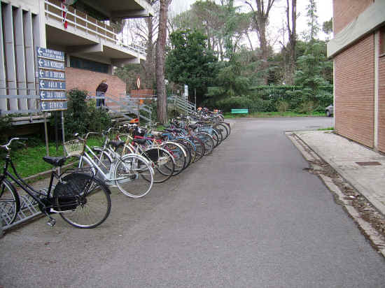 veterinaria di pisa