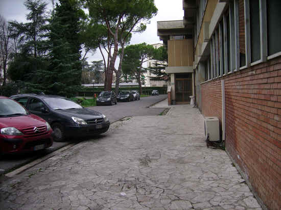 veterinaria di pisa