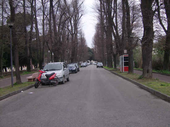 viale alberato