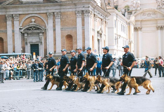 polizia cinofila