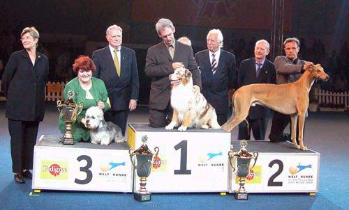 world dog show 2003
