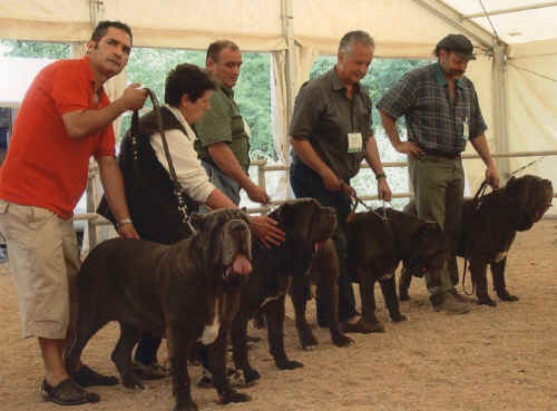 gruppo di allevamento di Fossombrone world samn 2003