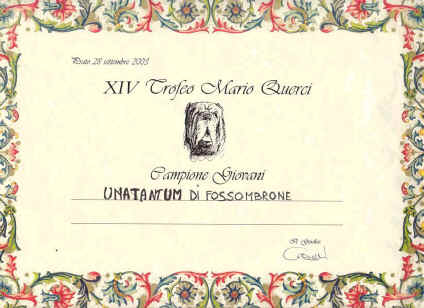 diploma