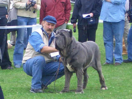 uncen di fossombrone  a budapest 2005